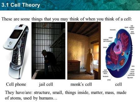 3.1 Cell Theory These are some things that you may think of when you think of a cell: Cell phone jail cell monk’s cell cell They have/are: structure, small,