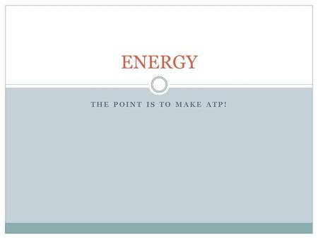 THE POINT IS TO MAKE ATP! ENERGY. What Just Happened? What did the cracker taste like when you first put it in your mouth? Did you experience any change.