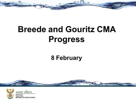 Breede and Gouritz CMA Progress 8 February. Outline Steering Committee update and Stakeholder consultation Implementation plan and communication plan.