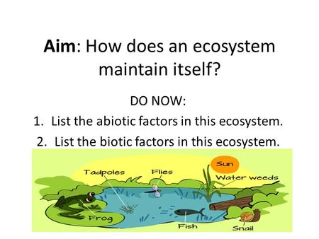 Aim: How does an ecosystem maintain itself?