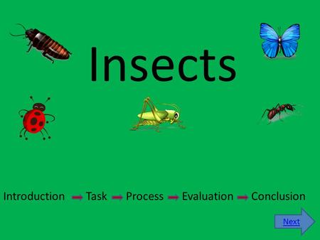 Insects IntroductionTaskProcessEvaluationConclusion Next.