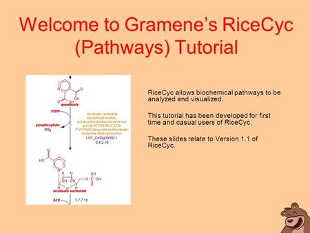 Welcome to Gramene’s RiceCyc (Pathways) Tutorial RiceCyc allows biochemical pathways to be analyzed and visualized. This tutorial has been developed for.