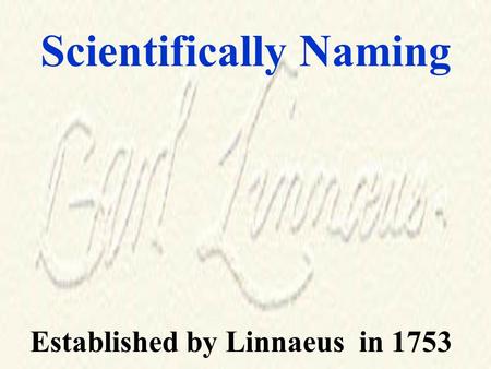 Scientifically Naming