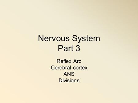 Nervous System Part 3 Reflex Arc Cerebral cortex ANS Divisions.