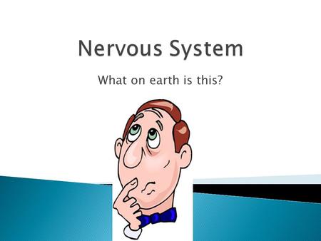 What on earth is this?.  Composed of your: ◦ Brain ◦ Spinal Cord ◦ Nerves ***It is how we receive information about EVERYTHING we do in life!!!!