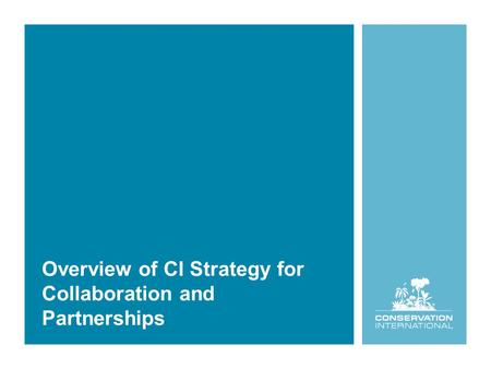 Overview of CI Strategy for Collaboration and Partnerships.