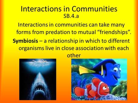 Interactions in Communities