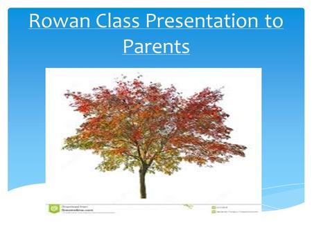 Rowan Class Presentation to Parents.  Mrs Philippa Carter– Class Teacher, Deputy Head and Literacy Subject Leader  Mrs Linda May – Teaching Assistant.