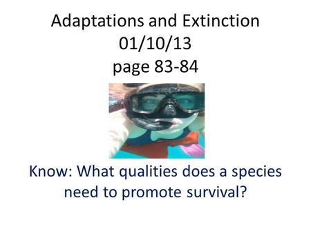 Adaptations and Extinction 01/10/13 page 83-84 Know: What qualities does a species need to promote survival?