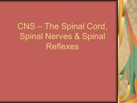 CNS – The Spinal Cord, Spinal Nerves & Spinal Reflexes