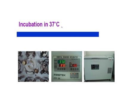 Protocol Electro-transformation : Select a snigle colony of E.coli from fresh LB plate and inoculate to 10 ml LB broth medium.Incubate until to reach.