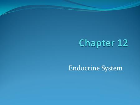 Chapter 12 Endocrine System.