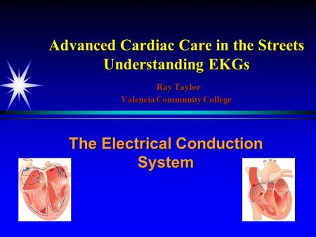 The Electrical Conduction System