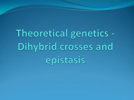 Theoretical genetics Learning objectives Success criteria Understand the basics of theoretical genetics Describe the interactions between loci (epistasis).