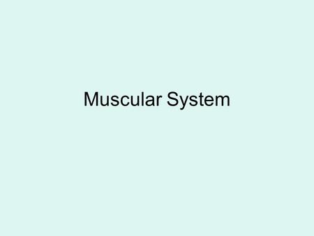 Muscular System. Parts of a Muscle 1. Origin: Point of attachment that does not move when a muscle contracts- usually bone, can be another muscle. 2.