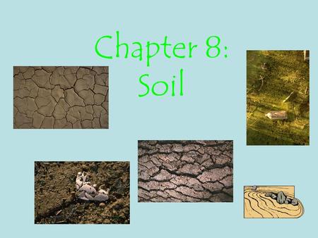 Chapter 8: Soil. Goals Understand how the soil quality determines what can grow Understand how soil quality can determine the survival of societies.