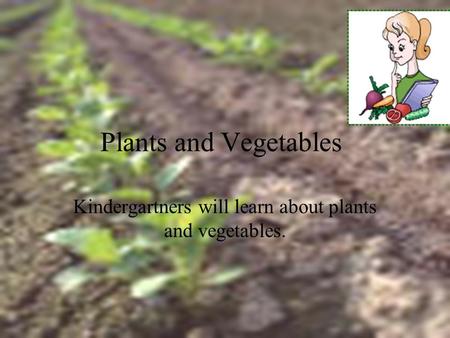 Plants and Vegetables Kindergartners will learn about plants and vegetables.