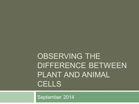 OBSERVING THE DIFFERENCE BETWEEN PLANT AND ANIMAL CELLS September 2014.