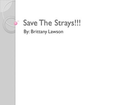 Save The Strays!!! By: Brittany Lawson. Why I chose Save the Strays There are 45 cats and dogs for every person born. Only 1 out of 10 dogs born ever.