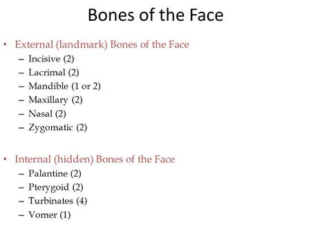 Bones of the Face External (landmark) Bones of the Face