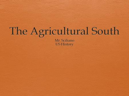 Plantation Economy  The Rural Southern Economy Fertile soil leads to growth of agriculture Farmers specialize in cash crops grown for sale, not personal.