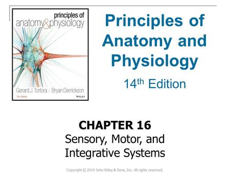 Principles of Anatomy and Physiology