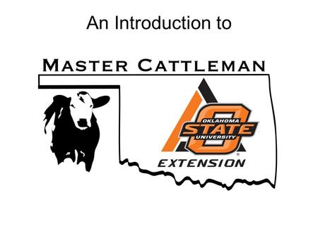 An Introduction to. The OSU Master Cattleman program is… A comprehensive educational curriculum for beef cattle producers with opportunities for continuing.