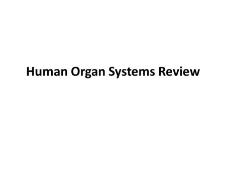 Human Organ Systems Review. Organ Systems Nervous Circulatory Lymphatic (Immune) Respiratory Digestive Excretory (Urinary) Reproductive Endocrine.