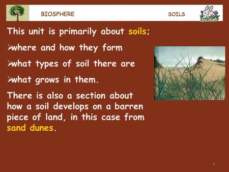 This unit is primarily about soils; where and how they form