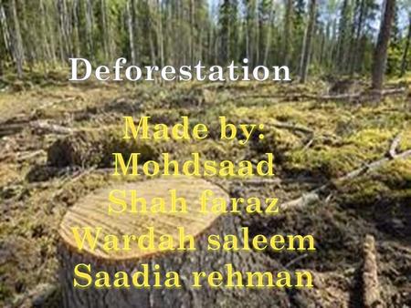 The destruction of natural forests because of cutting trees, logging, making space for cattle grazing, mining, extraction of oil, building dams and.