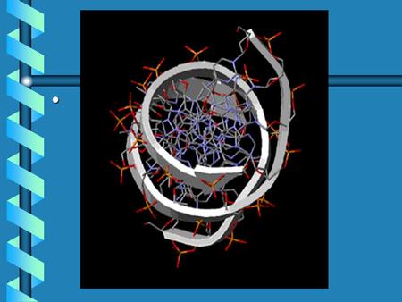 DNA “The Secret of Life” Basic Bases of DNA Four Main Bases: (Nitrogenous Bases) 1)Adenine 2)Guanine 3)Cytosine 4)Thymine 5)Known as A, T, C, G.