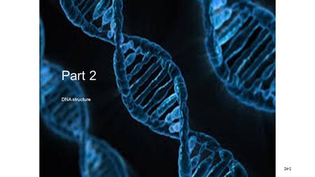 Part 2 DNA structure.