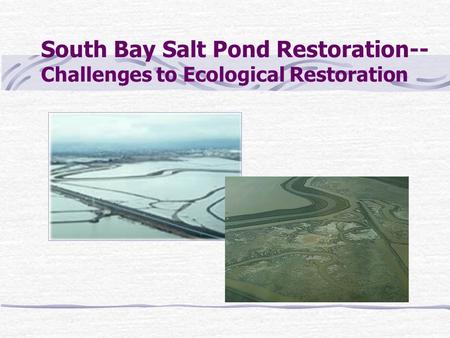 South Bay Salt Pond Restoration-- Challenges to Ecological Restoration.