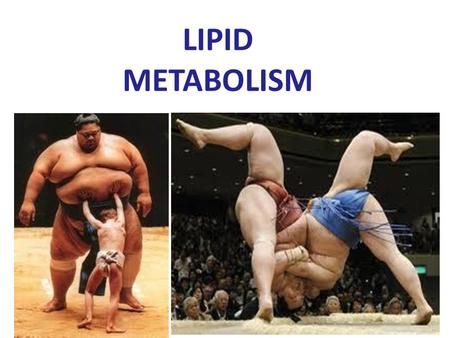 LIPID METABOLISM.