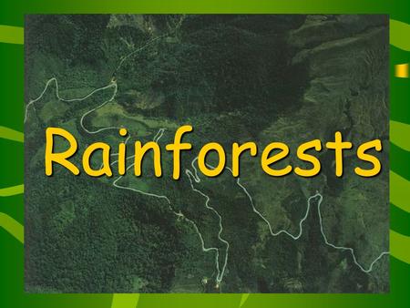 Rainforests Contents Page Click on the page you want to see What is a rainforest? Where can you find rainforests? Animals and plants in rainforests Rainforest.