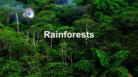 Rainforests Picture a world without oxygen, water or medicine.