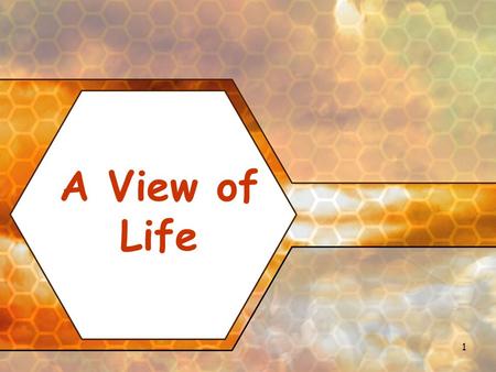 1 A View of Life. 2 The Human Genome Project mapped the complete set of human genes Genomics analyses the DNA sequence of an organism While genomics will.