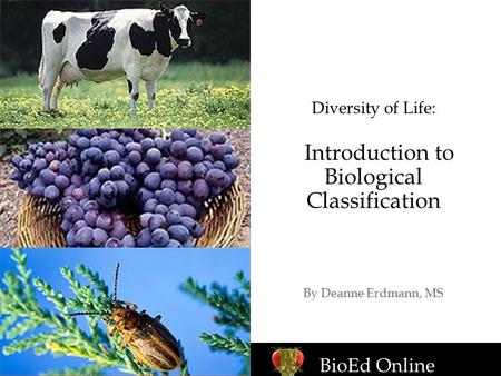 Diversity of Life: Introduction to Biological Classification By Deanne Erdmann, MS BioEd Online.