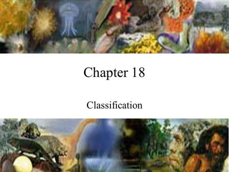 Chapter 18 Classification.