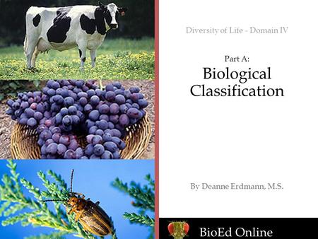 BioEd Online Diversity of Life - Domain IV Part A: Biological Classification By Deanne Erdmann, M.S.