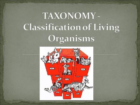 Taxonomy is the science of classifying groups of organisms based on their characteristics. Our taxonomic system was developed by Swedish botanist Carolus.