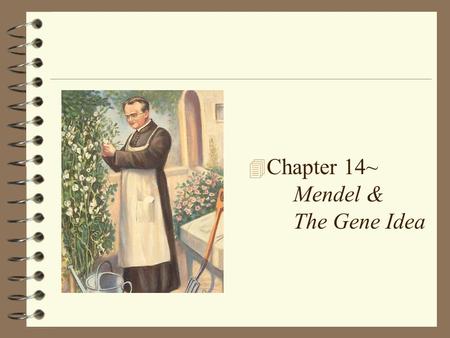 4 Chapter 14~ Mendel & The Gene Idea. Mendelian genetics 4 Character – heritable feature that varies among individuals: fur color, flower color, height.