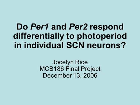 Do Per1 and Per2 respond differentially to photoperiod in individual SCN neurons? Jocelyn Rice MCB186 Final Project December 13, 2006.