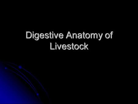 Digestive Anatomy of Livestock