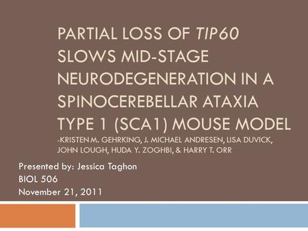 PARTIAL LOSS OF TIP60 SLOWS MID-STAGE NEURODEGENERATION IN A SPINOCEREBELLAR ATAXIA TYPE 1 (SCA1) MOUSE MODEL -KRISTEN M. GEHRKING, J. MICHAEL ANDRESEN,