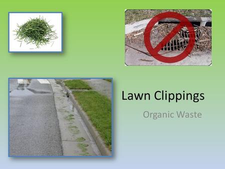 Lawn Clippings Organic Waste. Problem Statement Grass clippings cause water quality problems Organic waste add nutrients to the water Decaying algae leads.