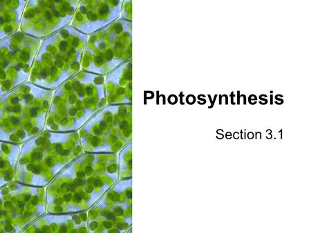 Photosynthesis Section 3.1. Overview of Photosynthesis General Equation: Light Energy 6 CO 2 + 6 H 2 O  C 6 H 12 O 6 + 6 O 2.