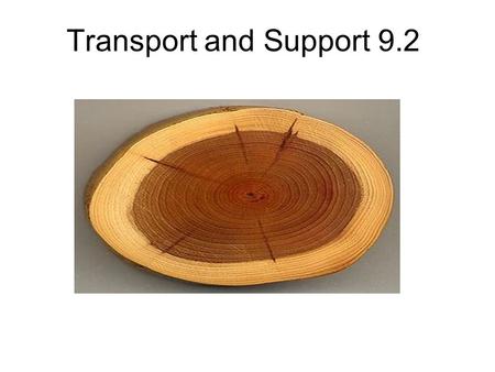 Transport and Support 9.2. Mineral Uptake by Roots What’s the deal with branching roots and root hairs? Potassium, phosphate and nitrate among others.