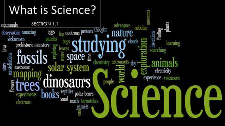 What is Science? SECTION 1.1. What Is Science and Is Not  Scientific ideas are open to testing, discussion, and revision  Science is an organize way.