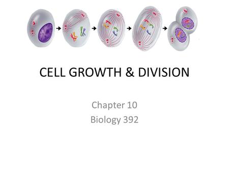 CELL GROWTH & DIVISION Chapter 10 Biology 392. Smaller is Better The bigger the cell becomes… the more demands the cell places on its DNA. the more trouble.